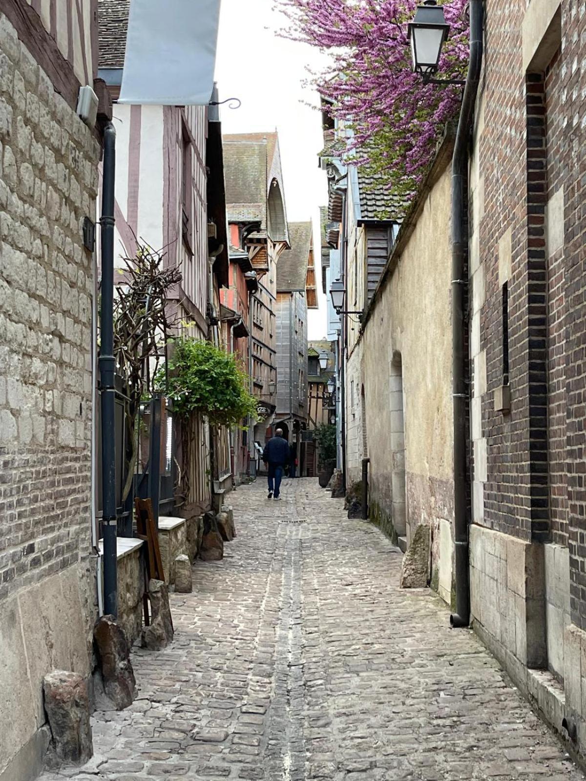 Un Brin De Bonheur Vila Troyes Exterior foto
